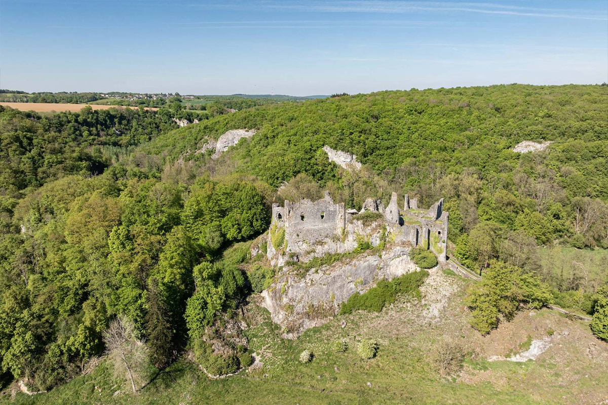 Adoreu - Gîte 4 personnes à Thynes - La région - Château de Montaigle